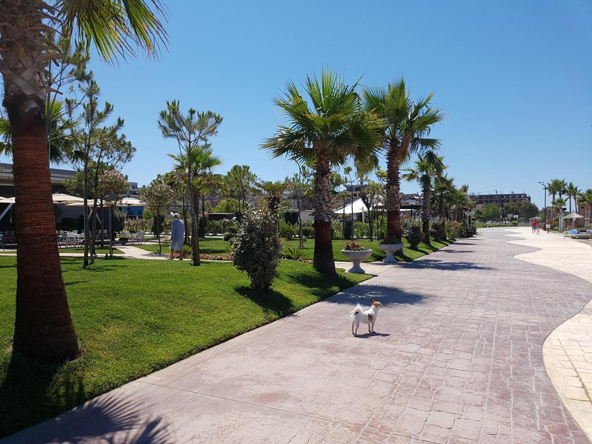 Delight Apartments Golem  Rom bilde